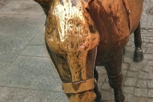 Zwiedzanie Torunia. Dla singli, rodzin, seniorów.